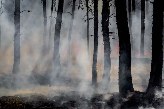 Chestnut Hill Fire Help Center Rolls Out Real-Time Wildfire Map As 2026 Blaze Season Boils Over