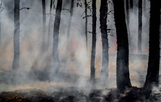 Chestnut Hill Fire Help Center Rolls Out Real-Time Wildfire Map As 2026 Blaze Season Boils Over