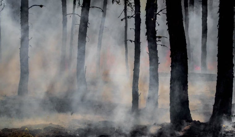 Chestnut Hill Fire Help Center Rolls Out Real-Time Wildfire Map As 2026 Blaze Season Boils Over
