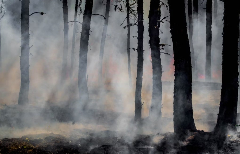 Chestnut Hill Fire Help Center Rolls Out Real-Time Wildfire Map As 2026 Blaze Season Boils Over