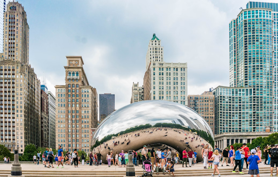 Chicago Naturalizations Plunge More Than 80% As Citizenship Waits Stretch