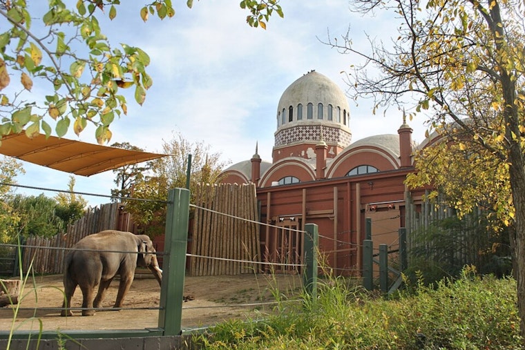 Cincinnati Zoo Reopens After Swatting Threat Delays Opening