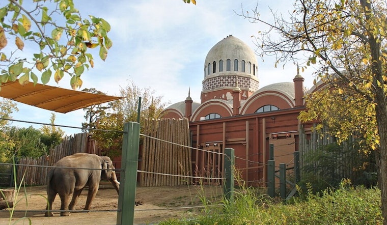 Cincinnati Zoo Reopens After Swatting Threat Delays Opening