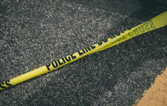 Clay Deputies Probe Gwen Avenue Gunfire On Quiet Callahan Stretch