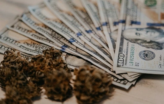 Clearview Pot Fight Flares Over Second Shop Plan