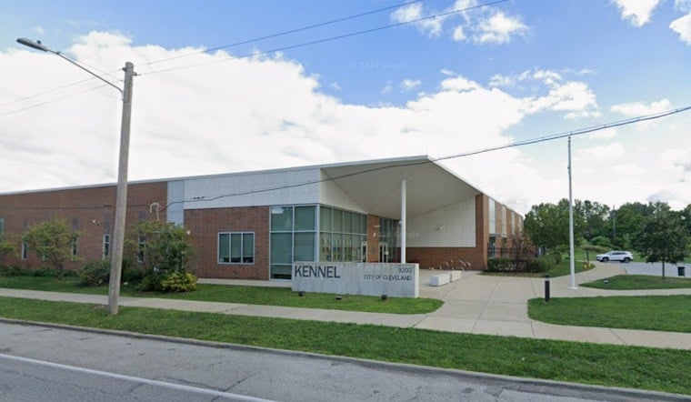 Cleveland City Kennel Packed To The Gills As City Dogs Beg For Fosters
