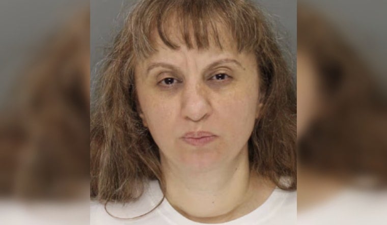 Cobb Courthouse Chaos: Marietta Woman Busted Over Bomb And Shooting Threats, Warrant Says