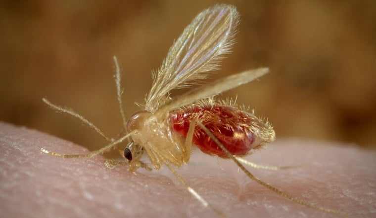 Columbus Lab’s CRISPR Shot Takes Aim At Parasite Quietly Creeping Across U.S.