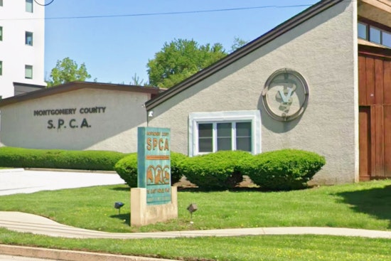 Conshohocken Shelter Shake-Up After State Slams ‘Needless’ Pet Killings