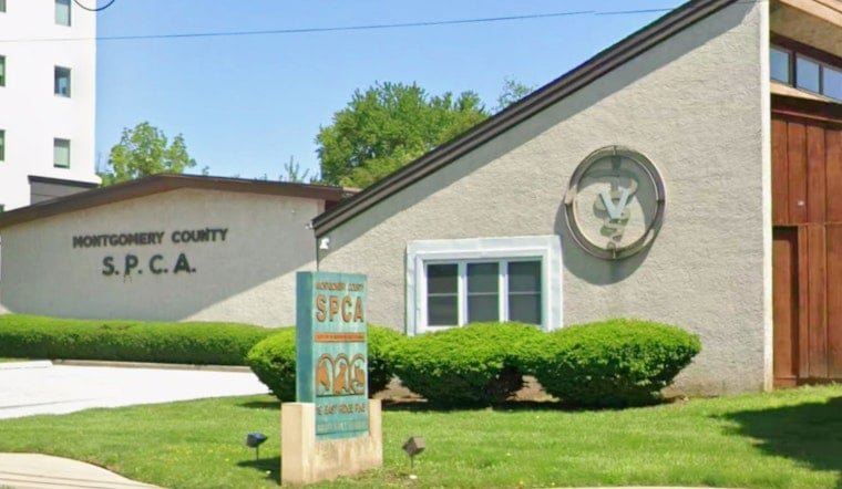 Conshohocken Shelter Shake-Up After State Slams ‘Needless’ Pet Killings
