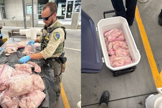 Coolers Crammed With 436 Fish Nabbed At San Ysidro Border