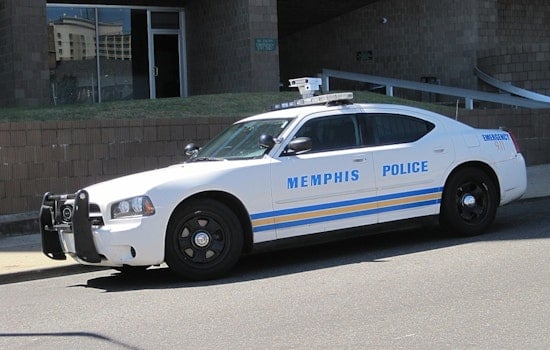 Cops And Guard Lock Down Castalia Heights As Mystery Investigation Unfolds