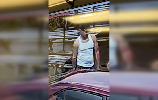 Cops Drop New Photos In Hunt For Hit-and-Run Driver