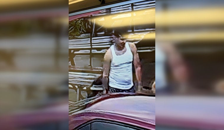 Cops Drop New Photos In Hunt For Hit-and-Run Driver