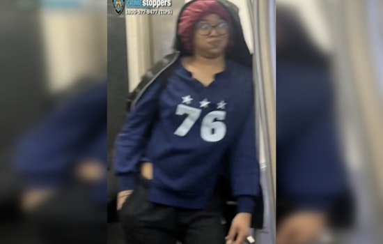 Cops Hunt Woman in 86th Street Subway Beatdown of 64-Year-Old