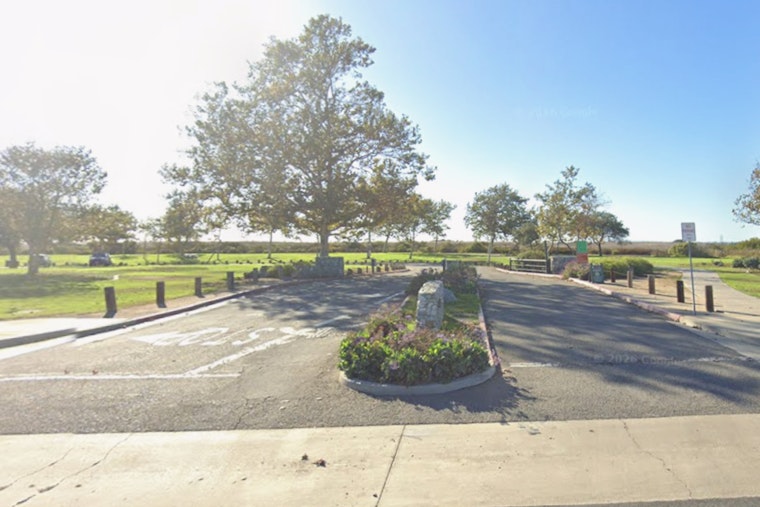 Costa Mesa Park Jams Stir Wildlife Showdown At Fairview