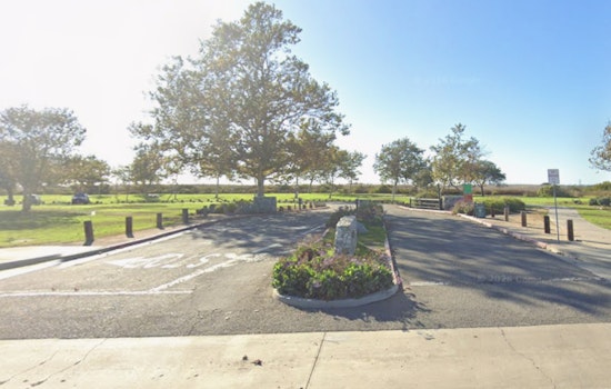 Costa Mesa Park Jams Stir Wildlife Showdown At Fairview