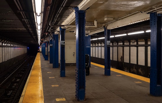 Crown Heights 2 Train Chaos as Teen Shot in Botched Platform Purse Snatch