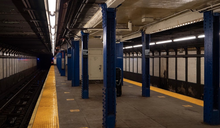 Crown Heights 2 Train Chaos as Teen Shot in Botched Platform Purse Snatch