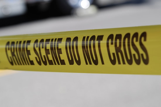 Crown Heights Cleaning Crew Makes Grim Find Inside Apartment Couch