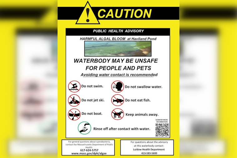 Cyanobacteria Scare Has Ludlow Urging Residents To Steer Clear Of Haviland Pond
