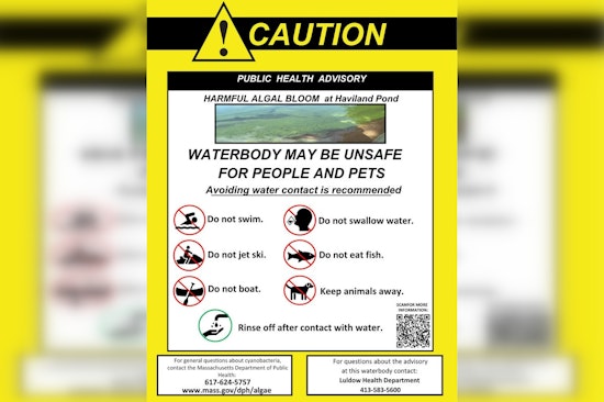 Cyanobacteria Scare Has Ludlow Urging Residents To Steer Clear Of Haviland Pond