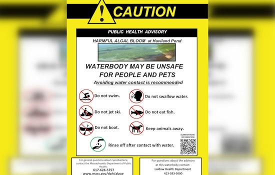 Cyanobacteria Scare Has Ludlow Urging Residents To Steer Clear Of Haviland Pond
