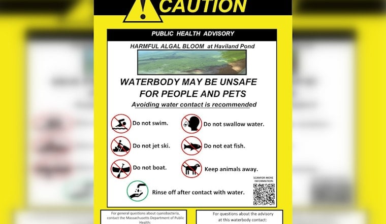 Cyanobacteria Scare Has Ludlow Urging Residents To Steer Clear Of Haviland Pond