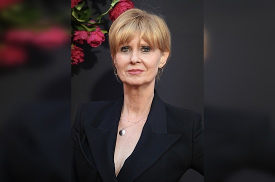 Cynthia Nixon Joins Elite Panel That Picks New York’s Top Judges