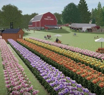 Dahlia Dreams: Delafield Hobby Farm Gets Green Light for Fall Debut