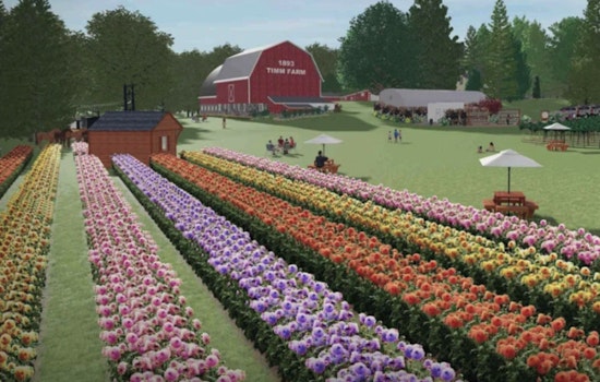 Dahlia Dreams: Delafield Hobby Farm Gets Green Light for Fall Debut