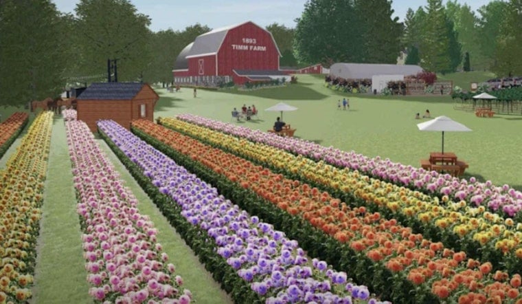 Dahlia Dreams: Delafield Hobby Farm Gets Green Light for Fall Debut