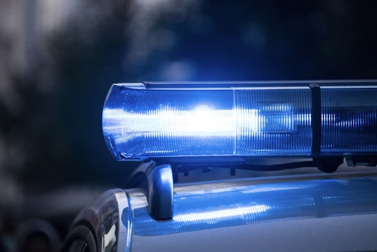 Dancehall Star Chronic Law Nabbed After 120-MPH Georgia Chase, Held Without Bond
