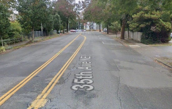 Decomposed Body Found In Matthews Beach Woods Spurs Seattle Police Investigation