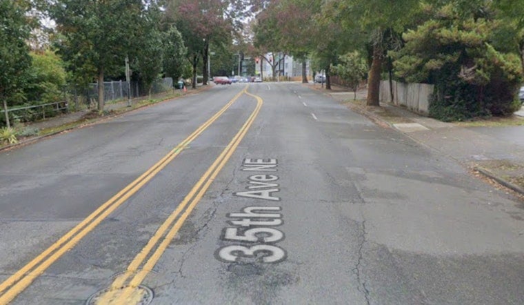 Decomposed Body Found In Matthews Beach Woods Spurs Seattle Police Investigation