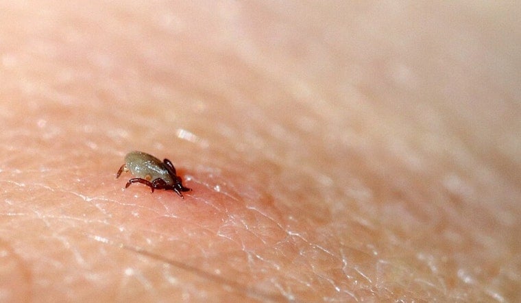 Detroit Docs Sound Alarm On Tick-Bite Allergy That Can Steal Your Steak