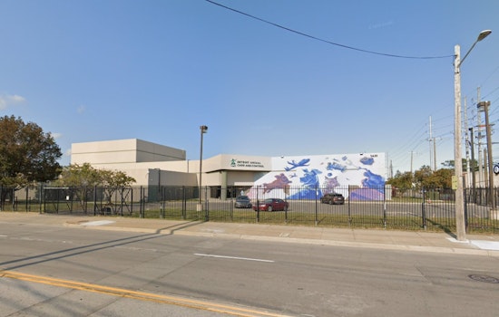 Detroit Dogs Die In Brutal Heat As Rescuers Demand Justice