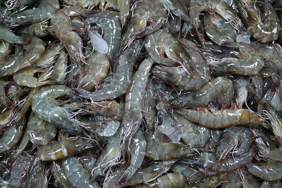 DNA Shocker On The Outer Banks: Half The ‘Local’ Shrimp Fails The Test