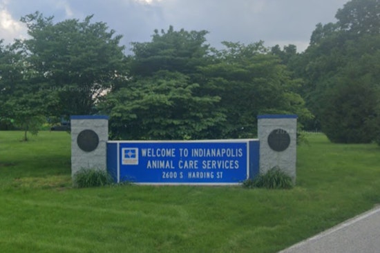 Dog Dies At Indy Animal Shelter As Heat Wave Hits