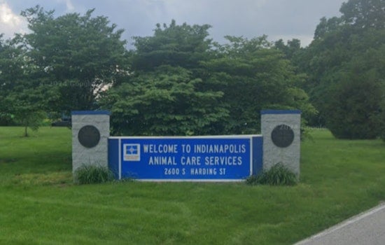 Dog Dies At Indy Animal Shelter As Heat Wave Hits