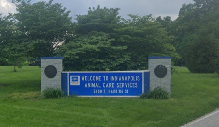 Dog Dies At Indy Animal Shelter As Heat Wave Hits