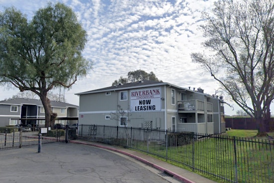 Dog Dumped Dead In Stockton Apartment Dumpster Sparks Outrage