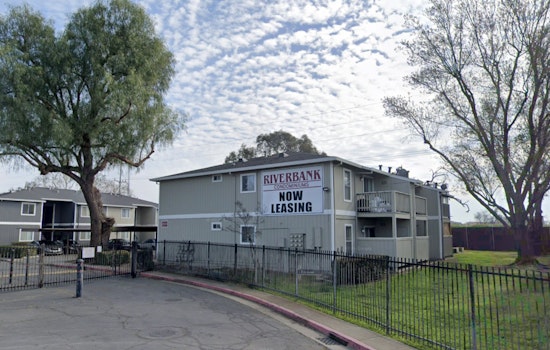Dog Dumped Dead In Stockton Apartment Dumpster Sparks Outrage