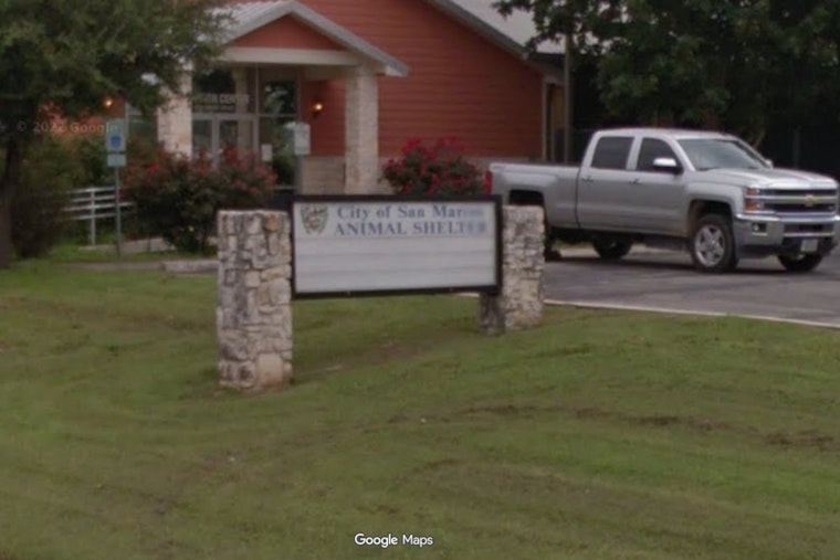 Dog Rush Slams San Marcos Shelter as Buda Officer Begs for Help