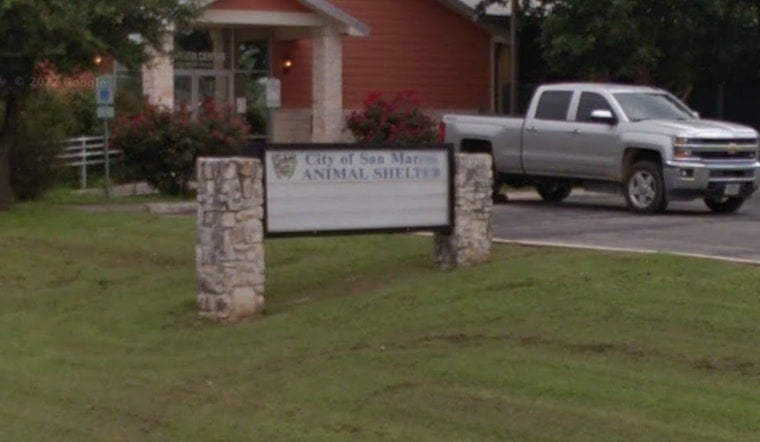 Dog Rush Slams San Marcos Shelter as Buda Officer Begs for Help