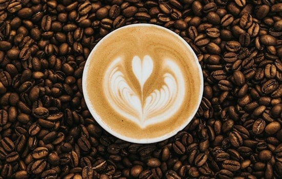 Dogwood Coffee Moves In On Grand, Brewing New Mac-Groveland Corner Spot