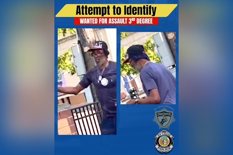 Downtown St. Louis Parking-Lot Blast: Cops Hunt Bear Spray Attacker