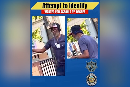 Downtown St. Louis Parking-Lot Blast: Cops Hunt Bear Spray Attacker