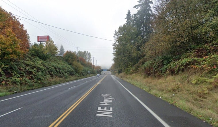 Driver Bolts After Slamming Into Pedestrian on Vancouver’s Hwy 99