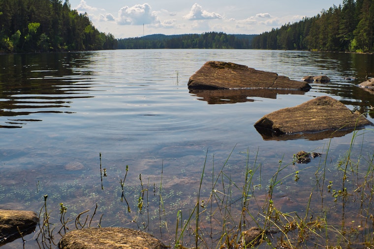 Dry Wells, Hot Tempers: Cedar Lake Neighbors Storm State Water Board